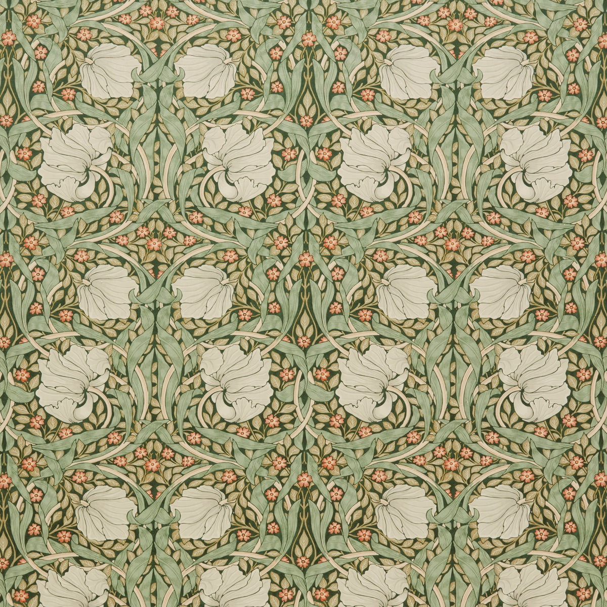 7871 PIMPERNEL VELVET 4 HUNTER