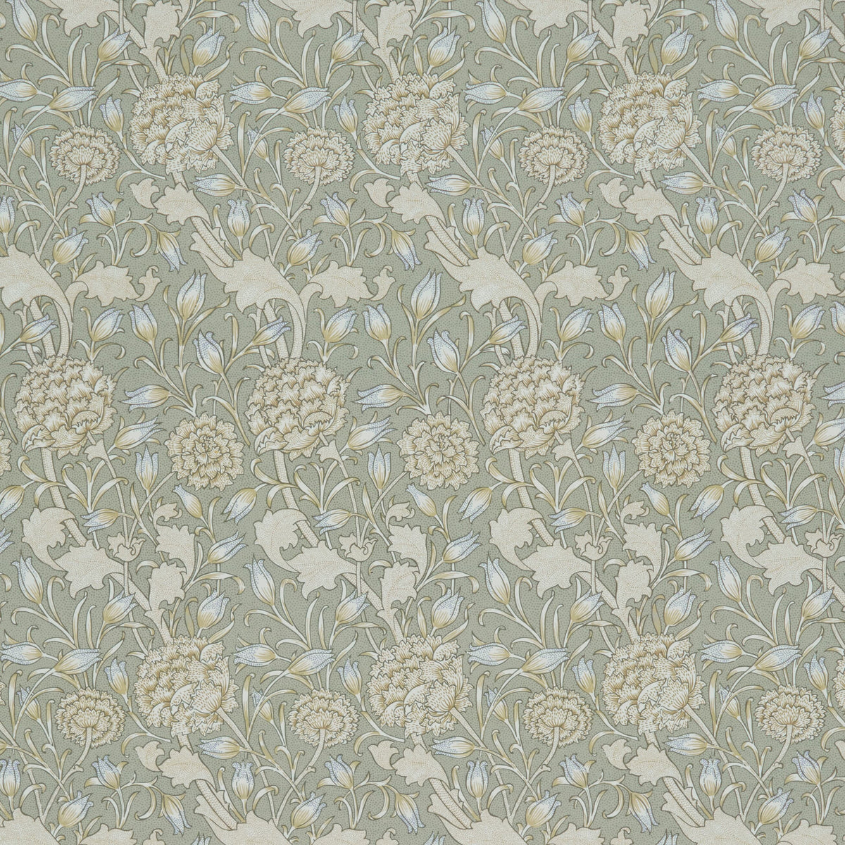 7873 WILD TULIP 3 ALOE