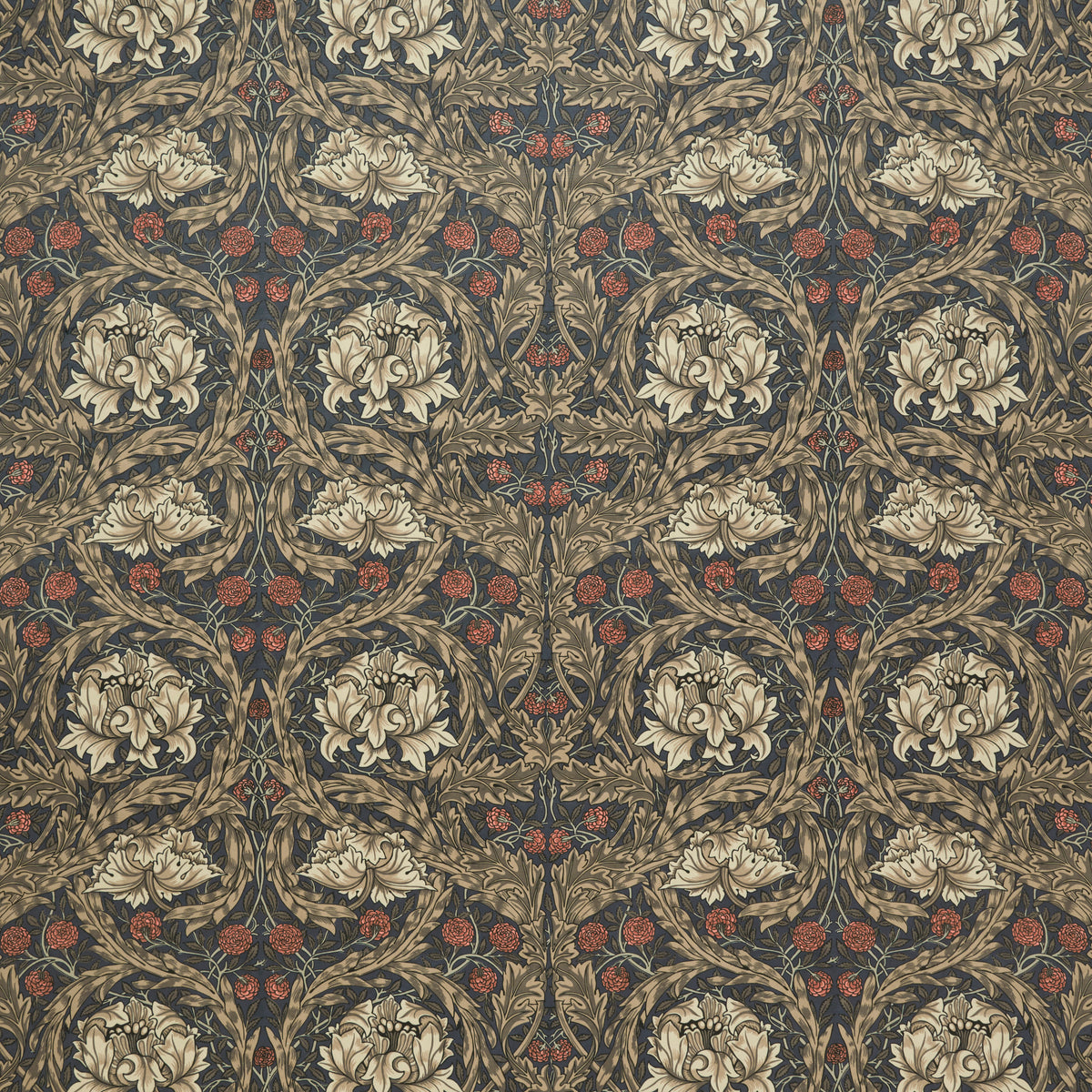 7877 AFRICAN MARIGOLD VELVET 4 JAVA