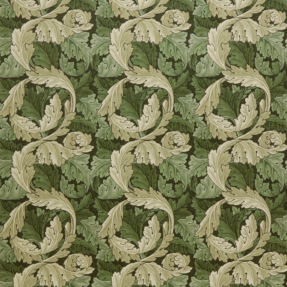 7878 ACANTHUS VELVET 4 ELM