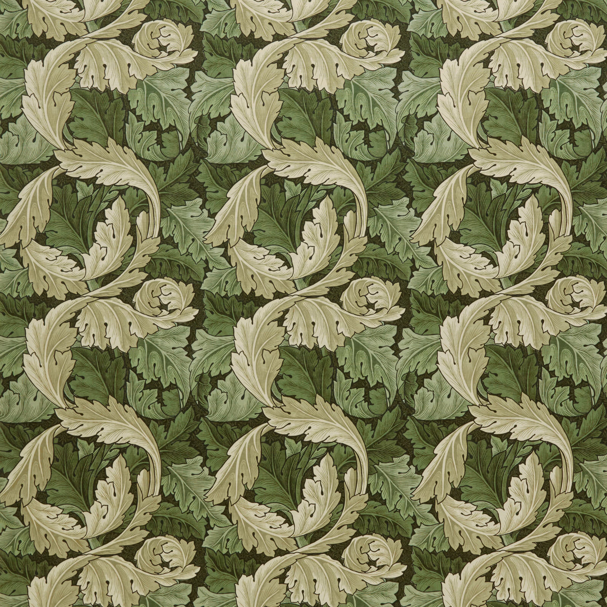 7878 ACANTHUS VELVET 4 ELM