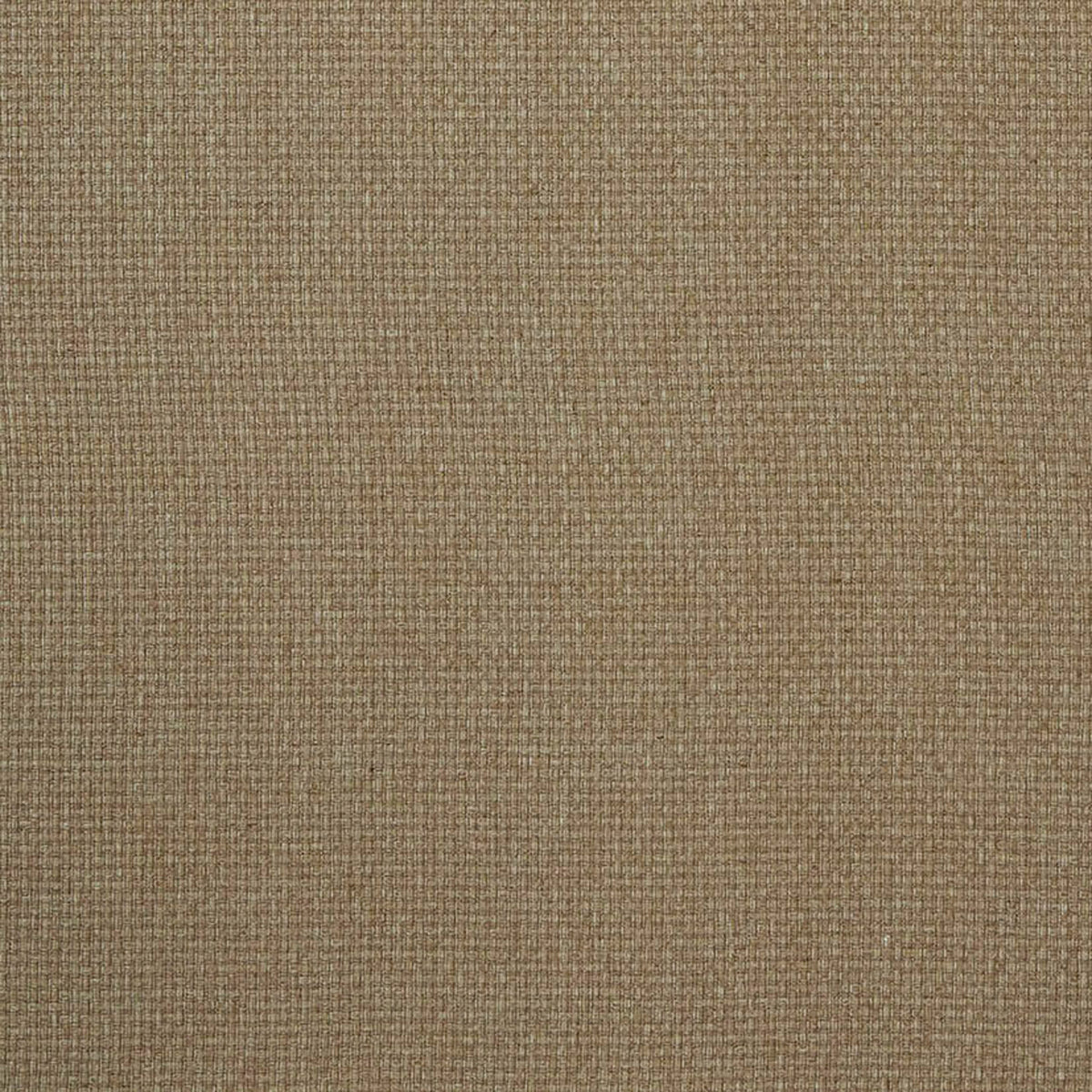 7880 REED 10 ACORN