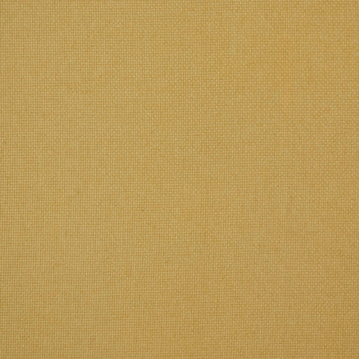 7880 REED 16 LEMONADE