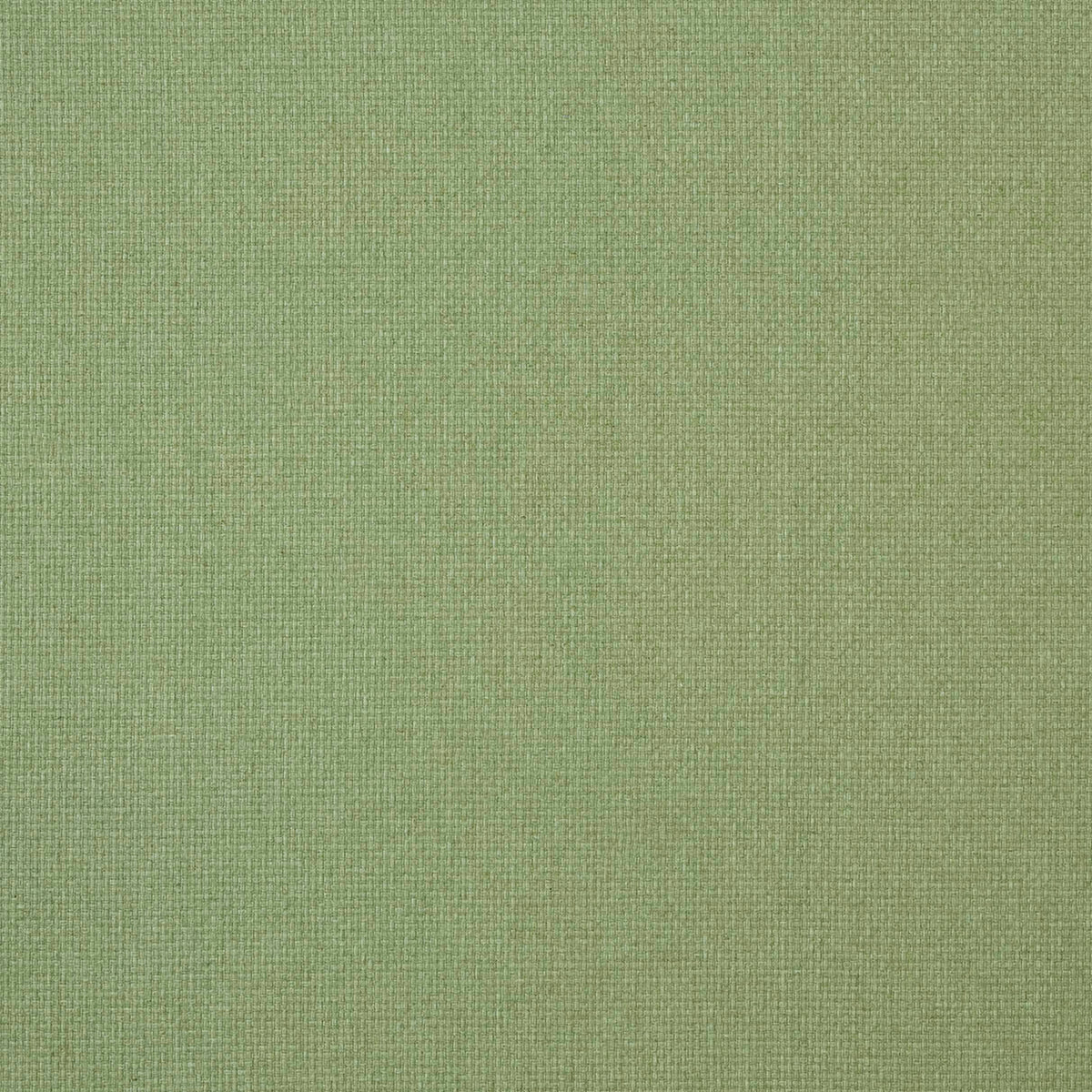 WMAH 7880 REED 8 GRASS Fabric | Atlanta Fabrics