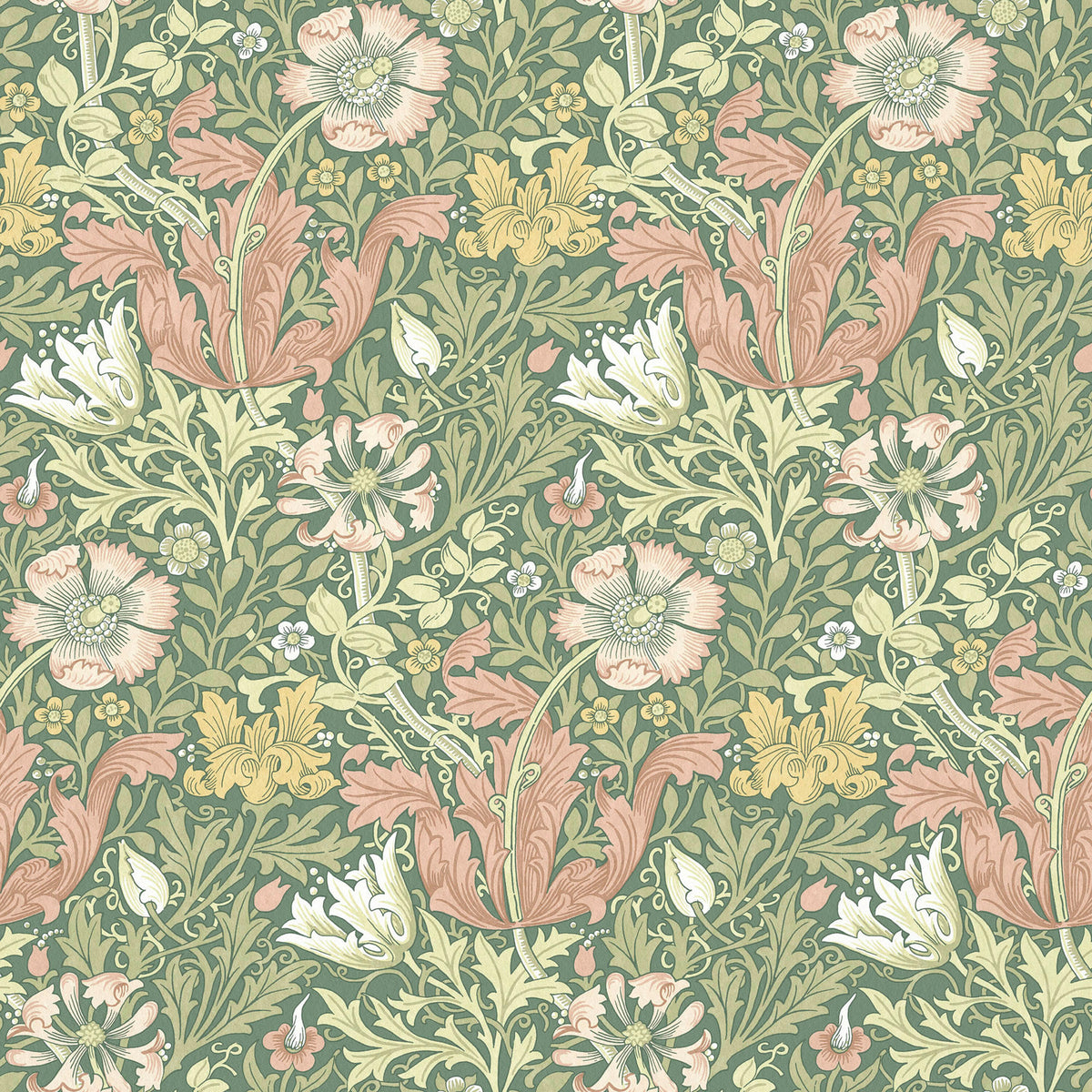 7886 COMPTON VELVET 1 CAMELIA
