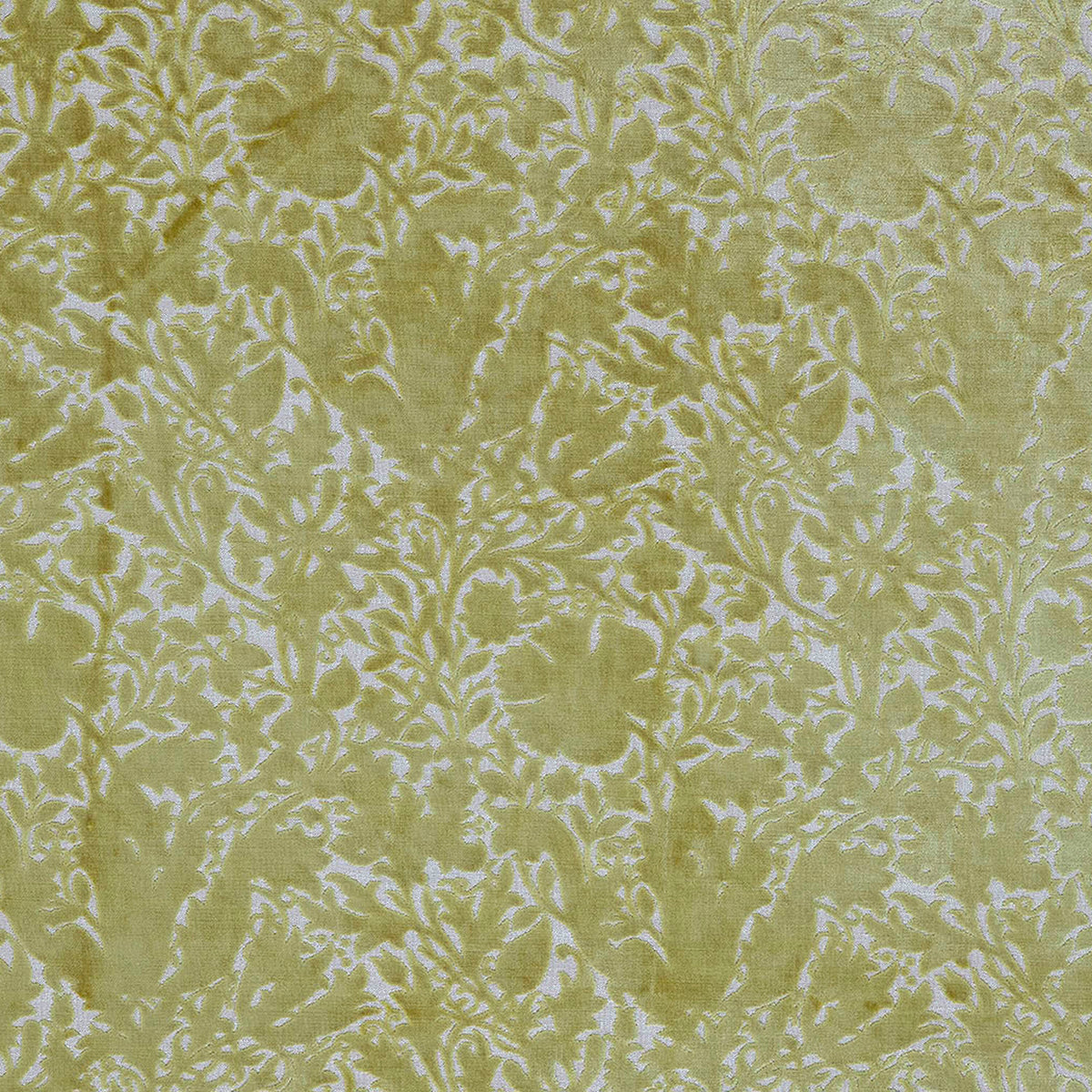 7892 COMPTON SILHOUETTE VELVET 1 CELERY