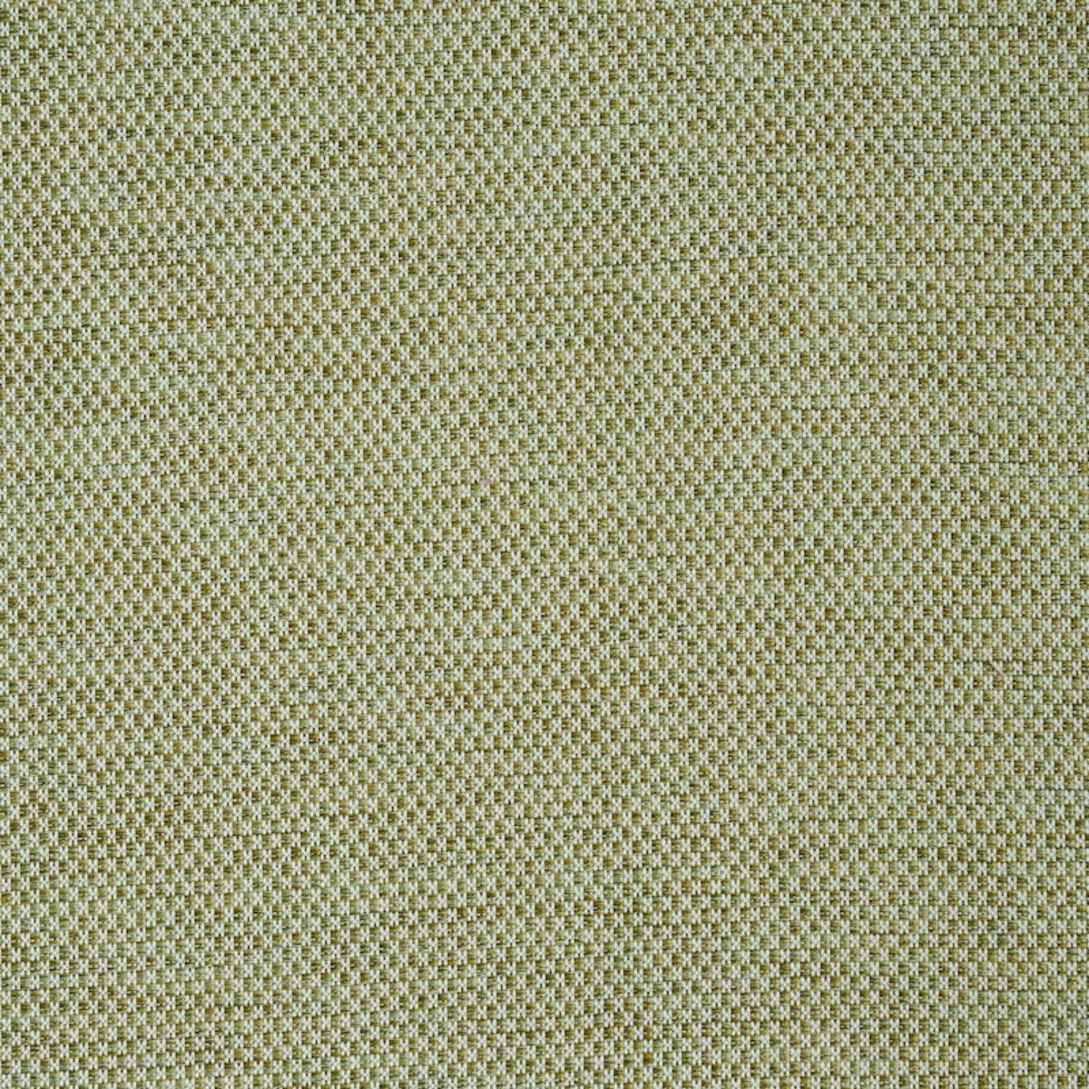 MOMO HAND WOVEN TEXTURE FERN