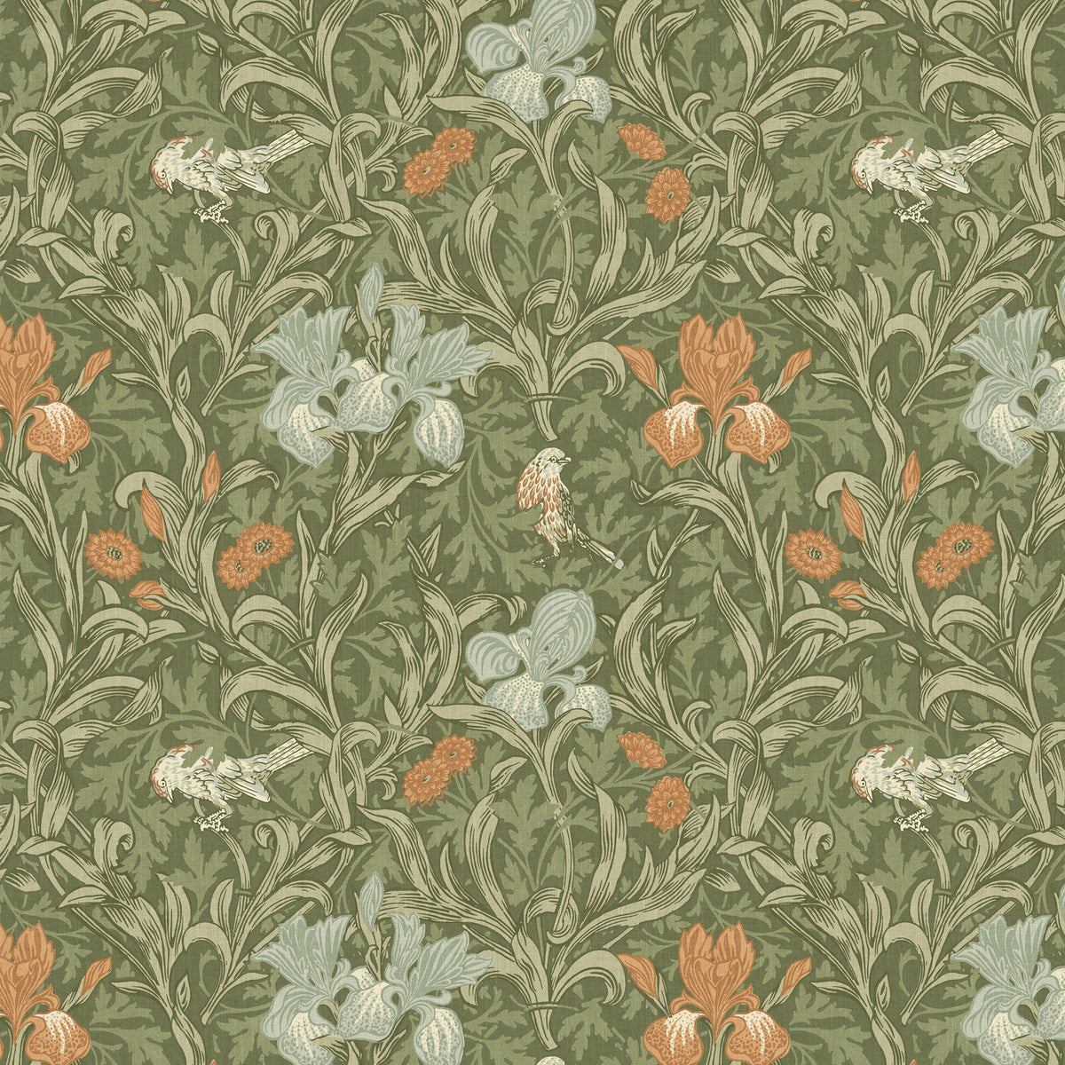 7894 IRIS 2 TIGERLILY