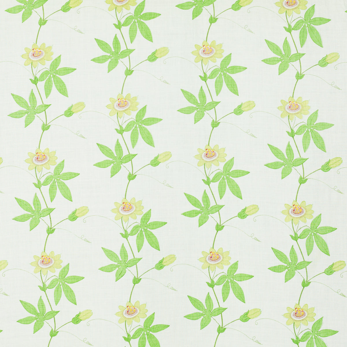 FLORA BY RAOUL SPRING