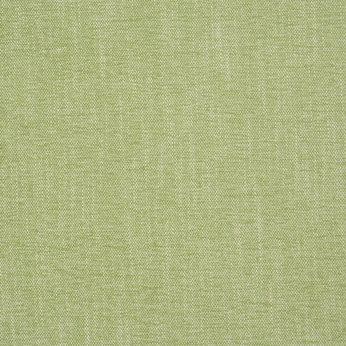 DEAN INDOOR/OUTDOOR GRASS