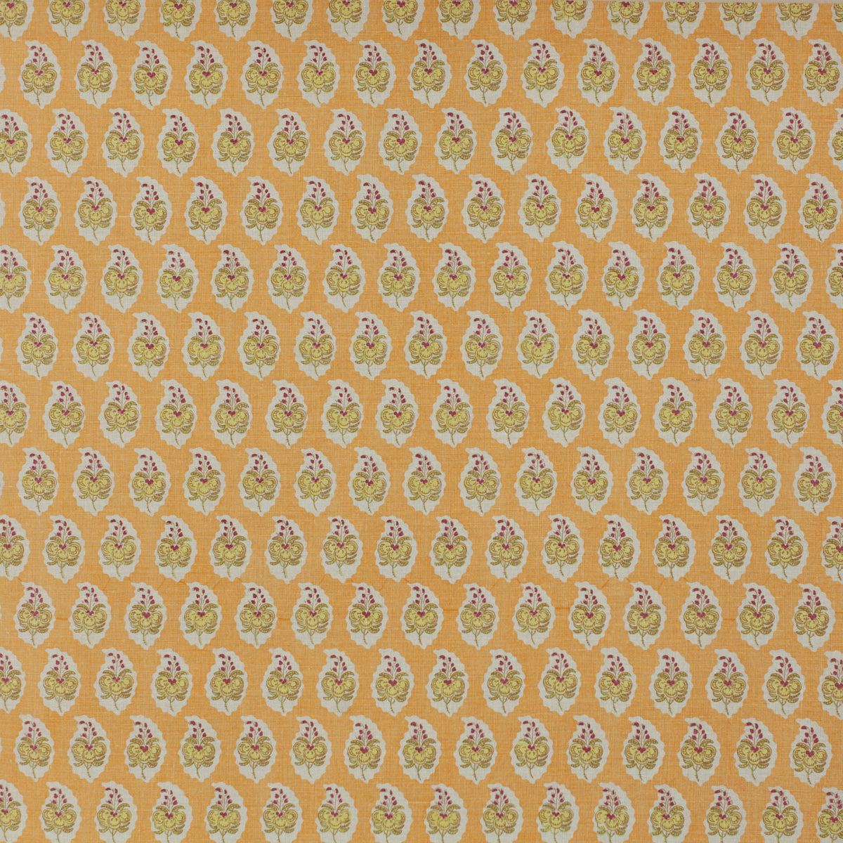 Schumacher PASHA LOQUAT Fabric | Atlanta Fabrics