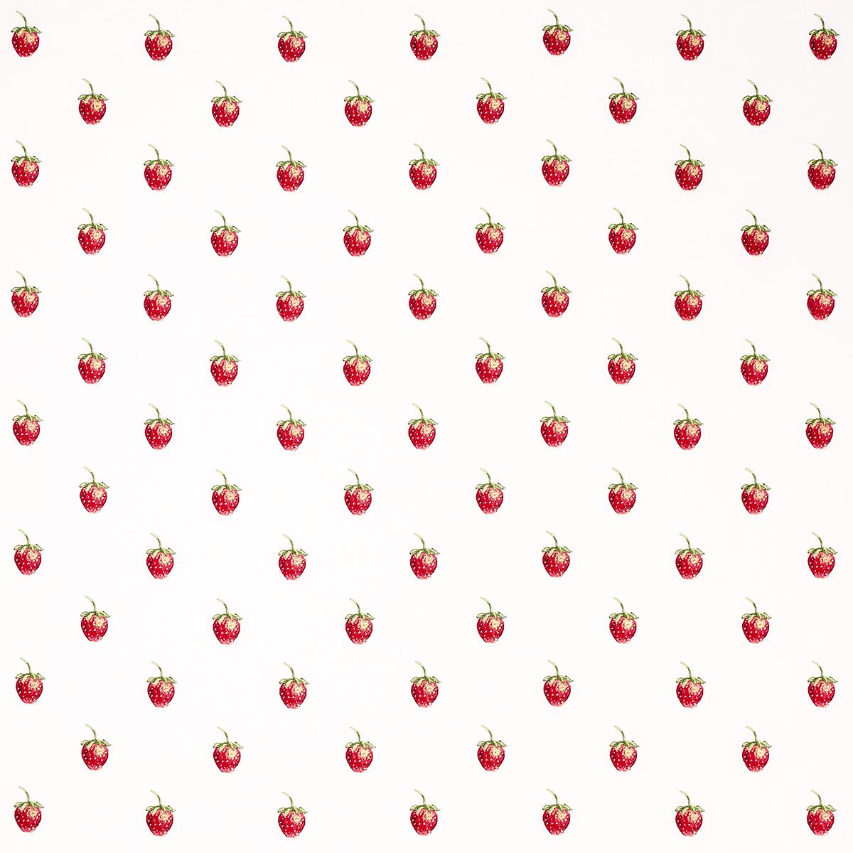 SCHUMACHER FRESHIE FRESH IVORY FABRIC | Atlanta Fabrics