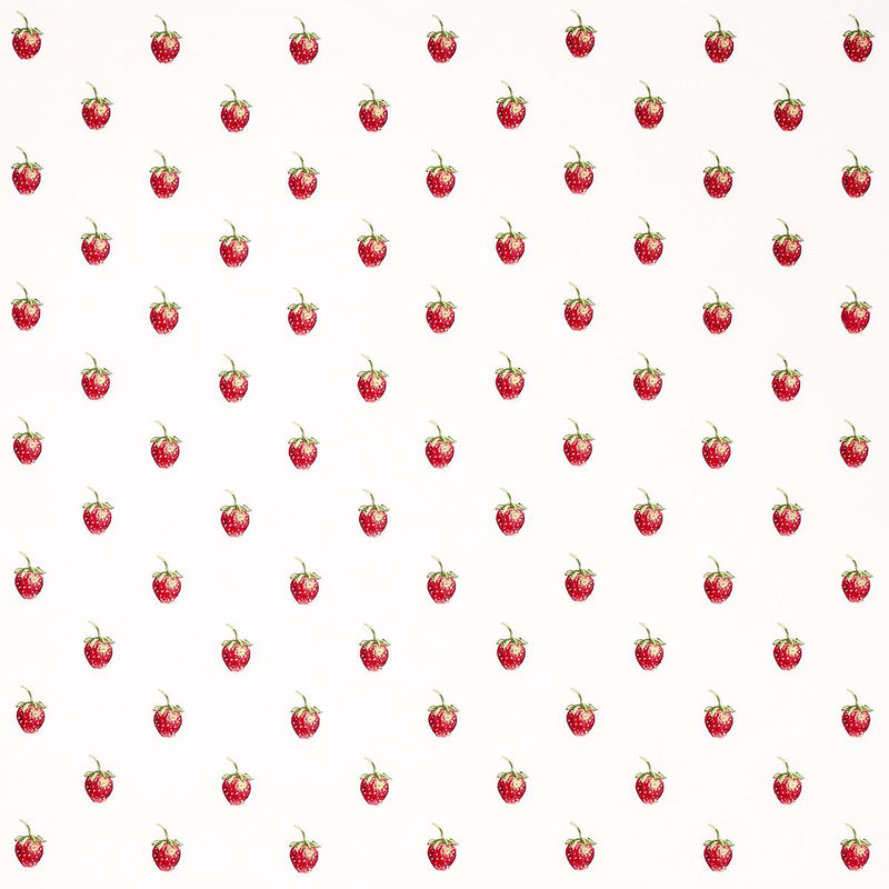 SCHUMACHER FRESHIE FRESH IVORY FABRIC | Atlanta Fabrics