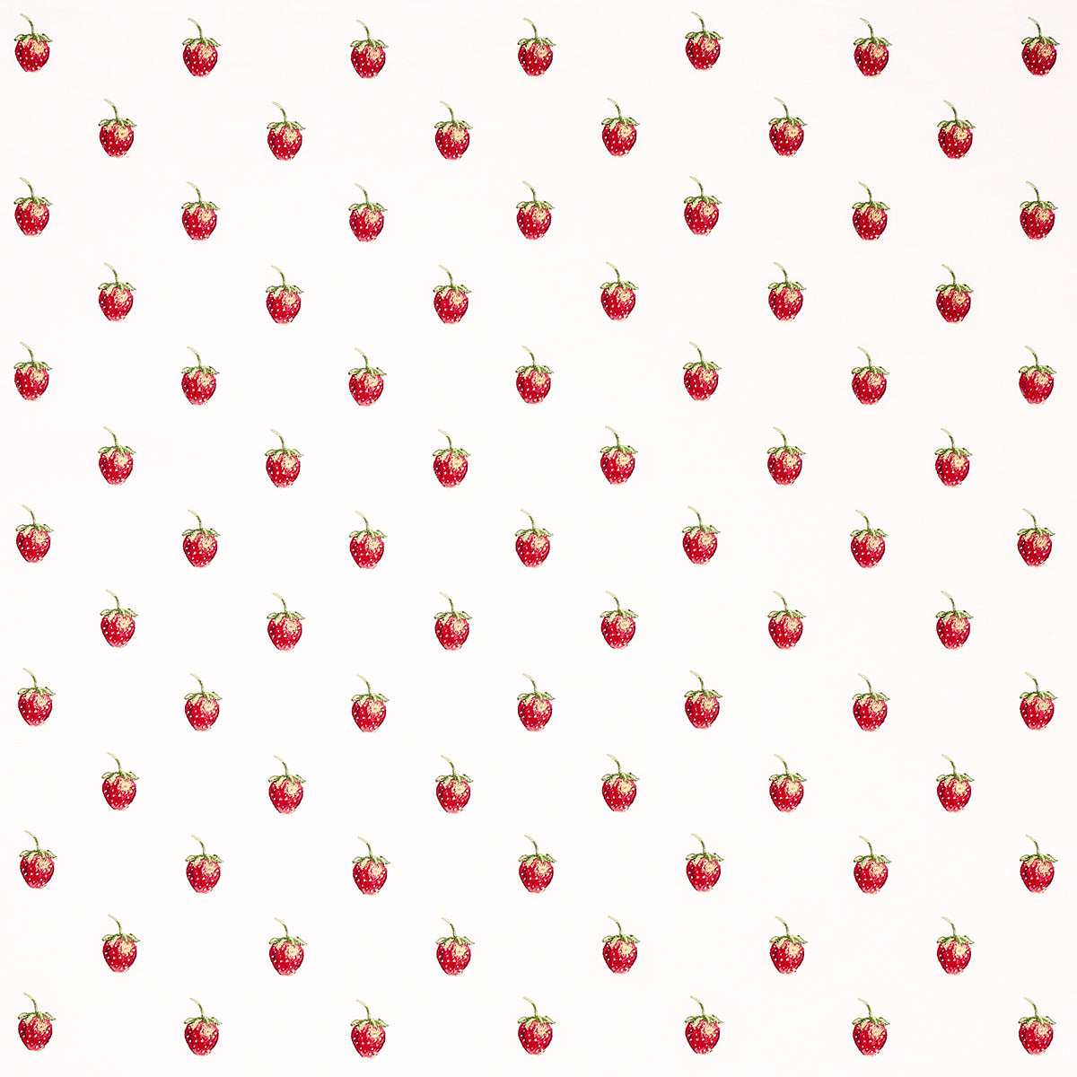 Schumacher FRESHIE FRESH IVORY Fabric | Atlanta Fabrics