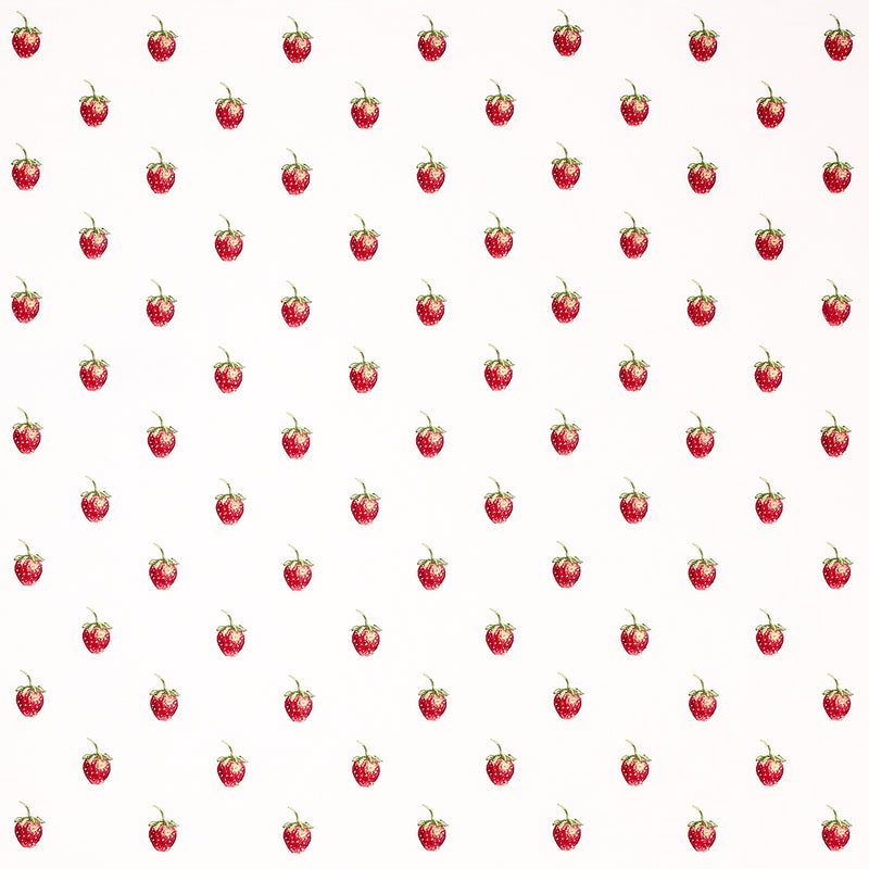 Schumacher FRESHIE FRESH IVORY Fabric | Atlanta Fabrics