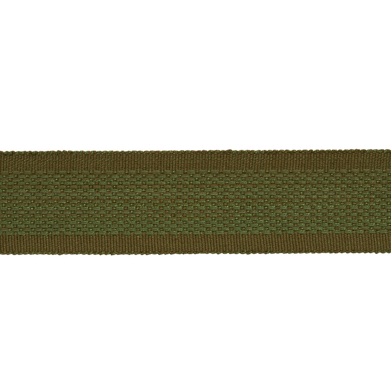 Schumacher CARDIFF TAPE GREEN Trim | Atlanta Fabrics