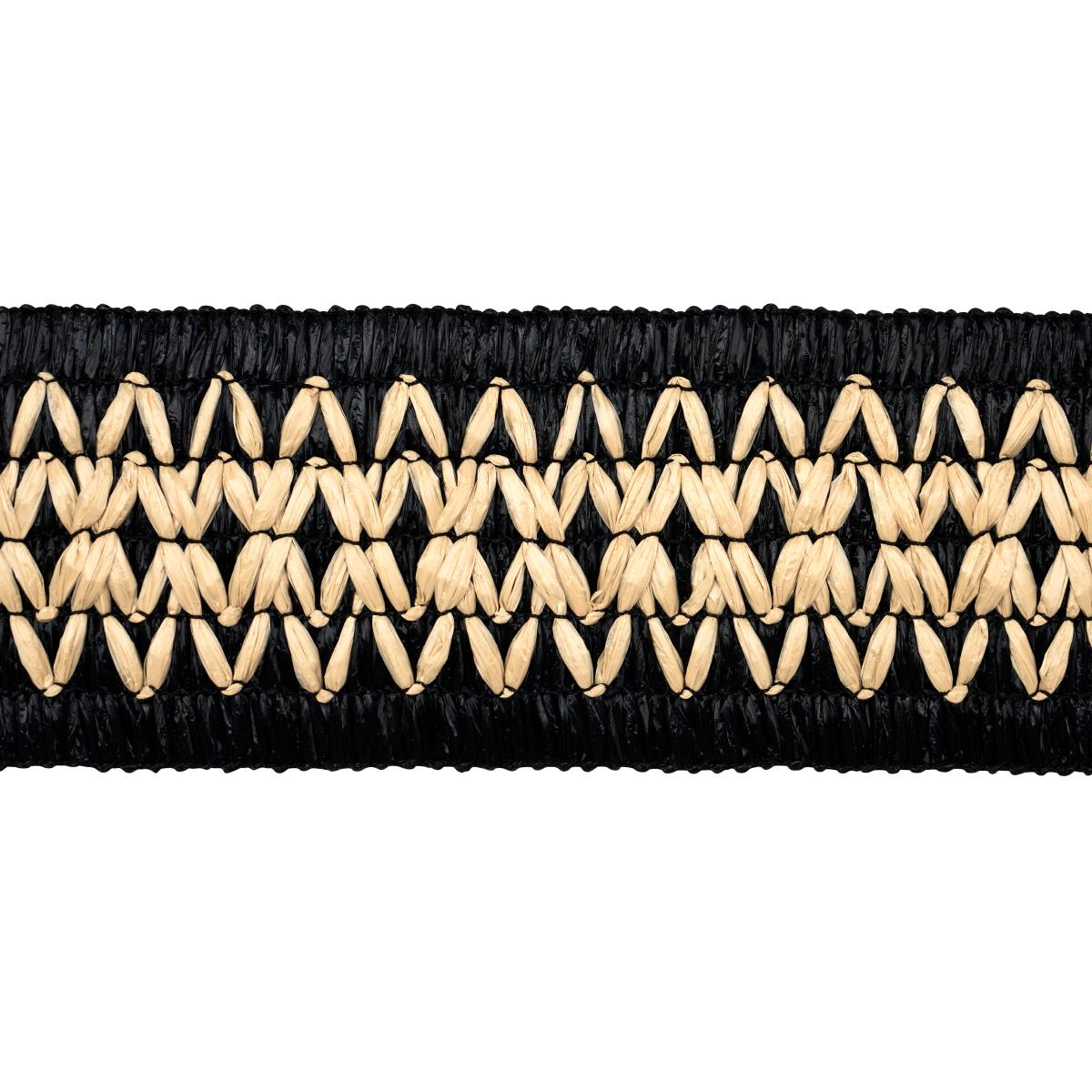 RAPHIINAE TAPE BLACK
