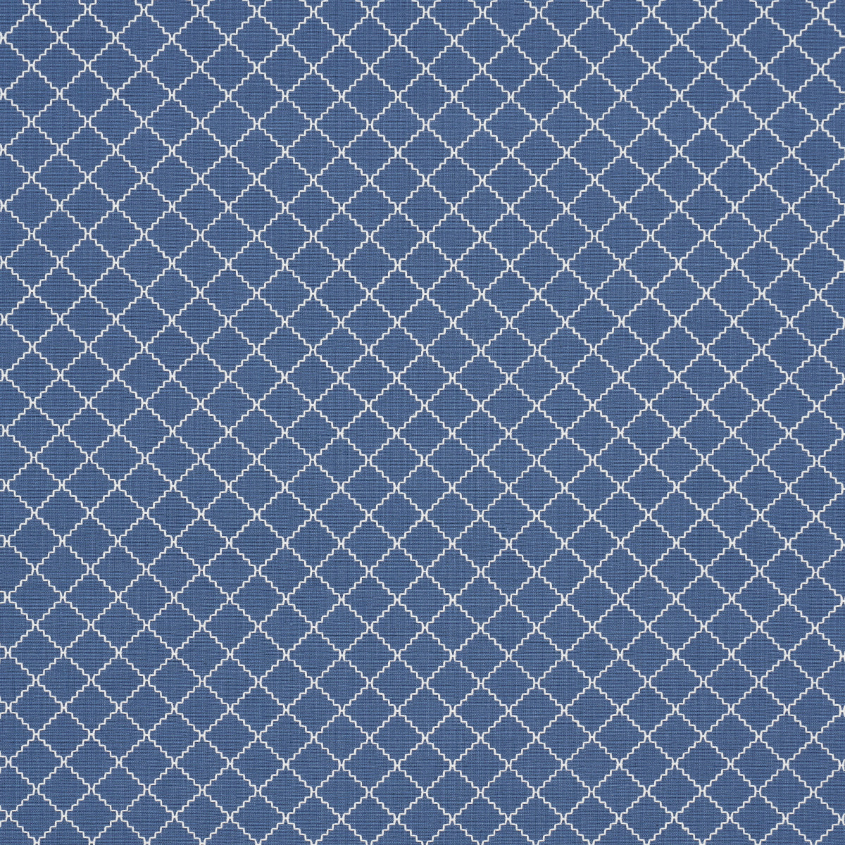 MAGGIE LATTICE COBALT
