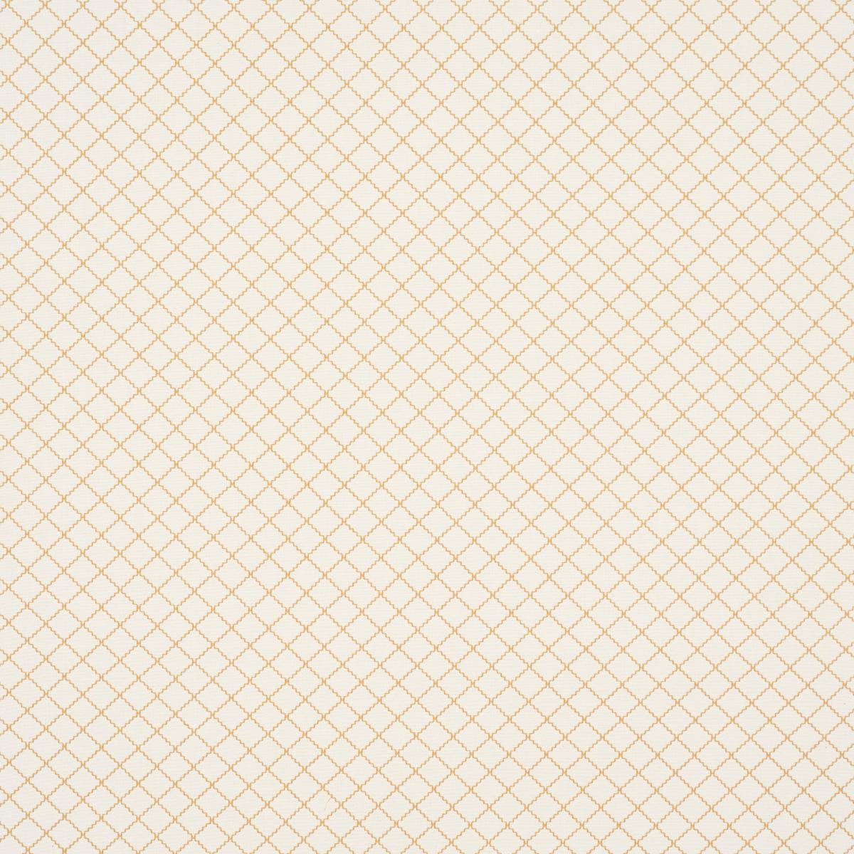 MAGGIE LATTICE NEUTRAL