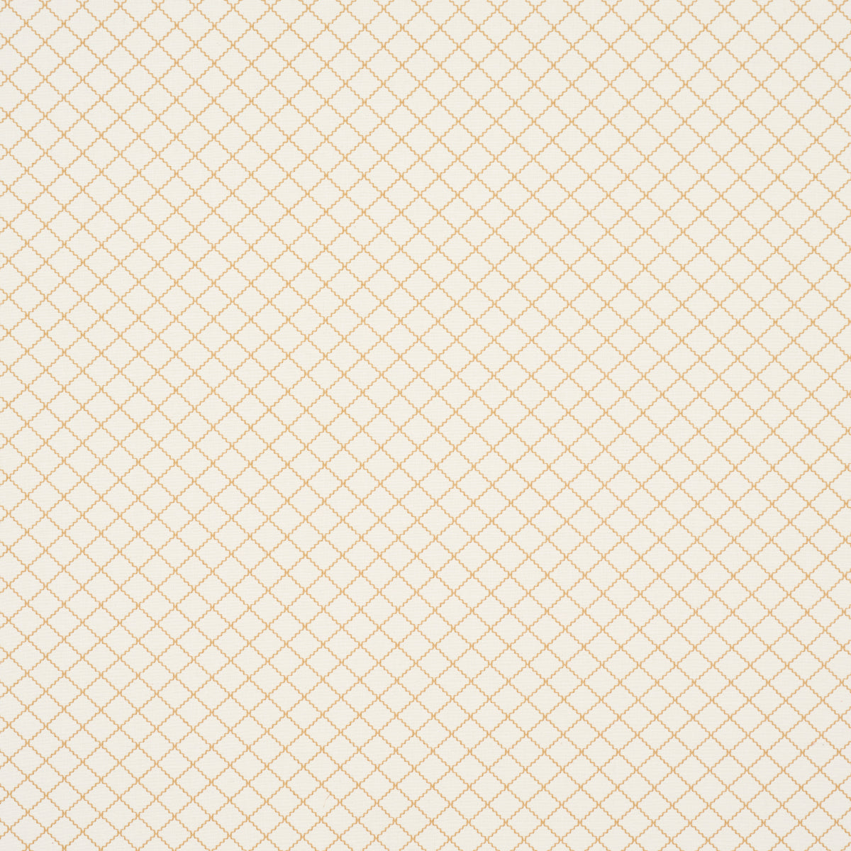 MAGGIE LATTICE NEUTRAL