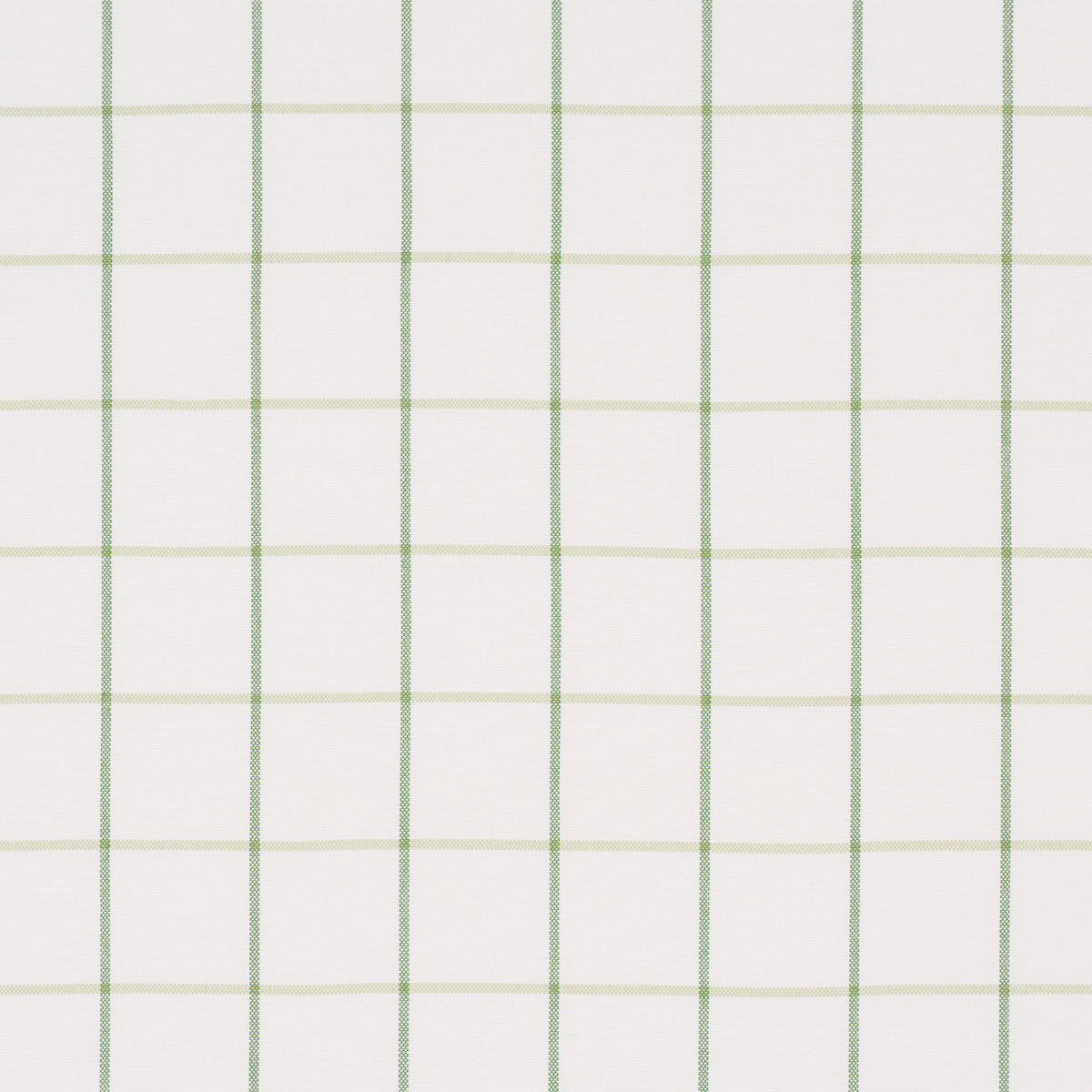 FRANNIE WINDOWPANE LEAF GREEN