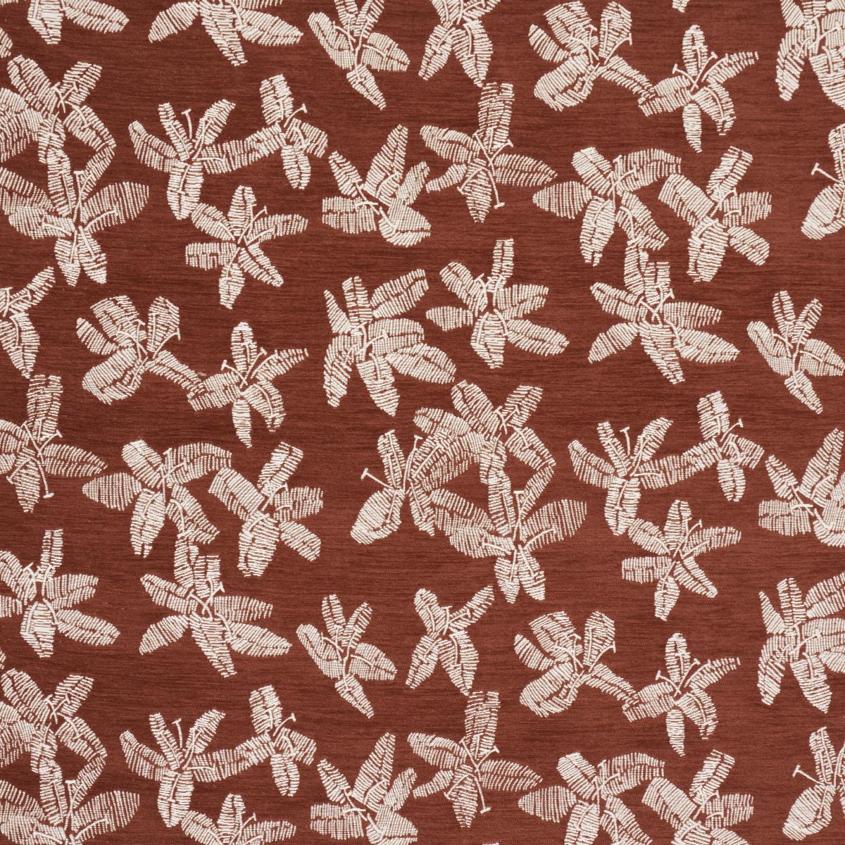 HIBISCUS TEAK