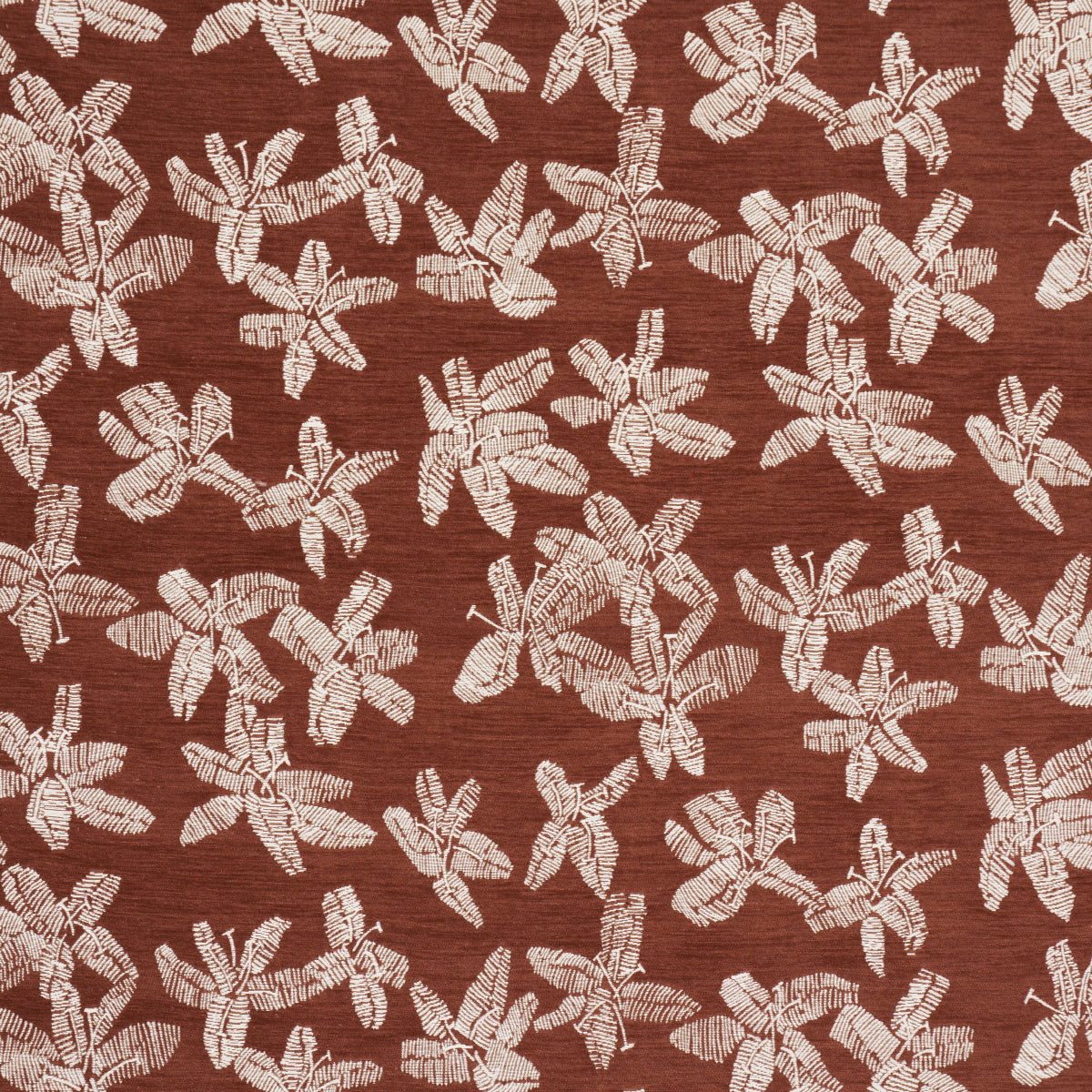 HIBISCUS TEAK