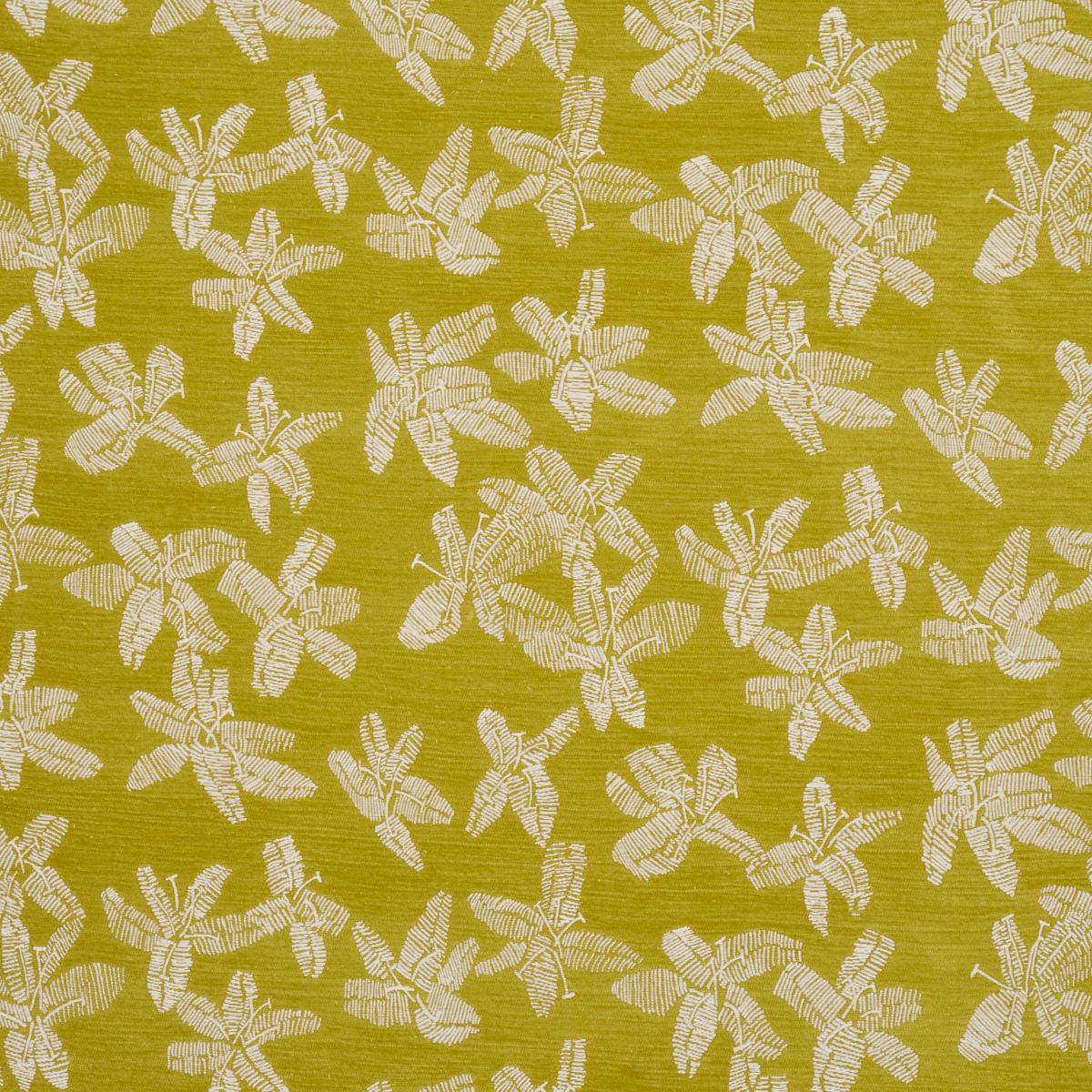 HIBISCUS CITRON VERT