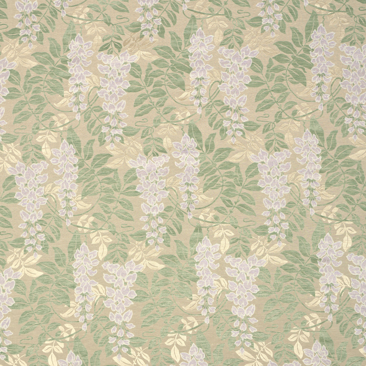 LUCIA WISTERIA LILAC