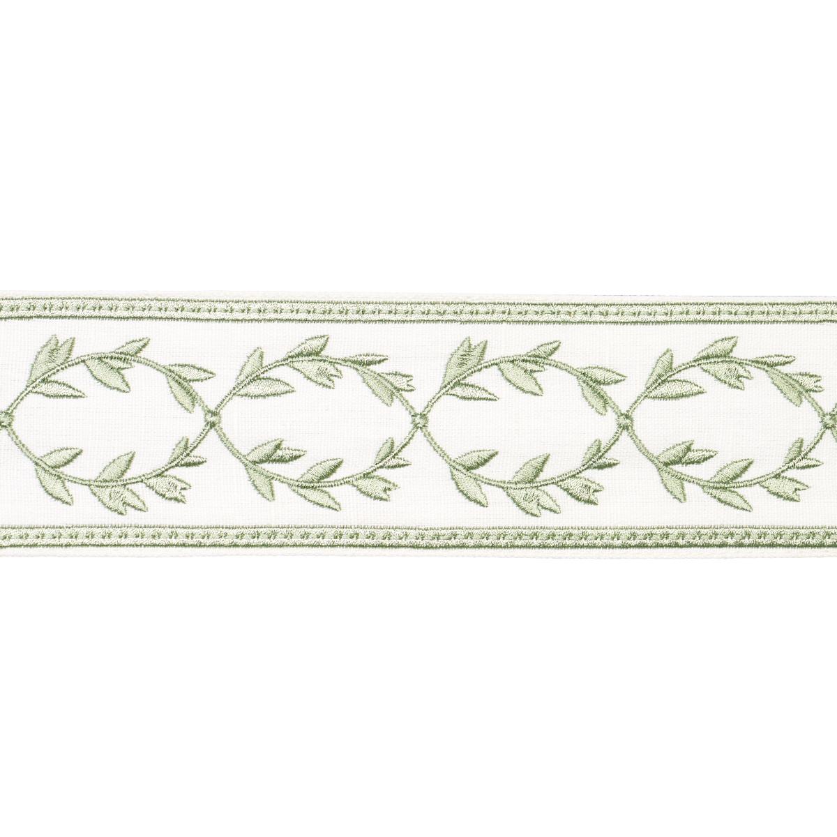 MAISON VINE CELADON