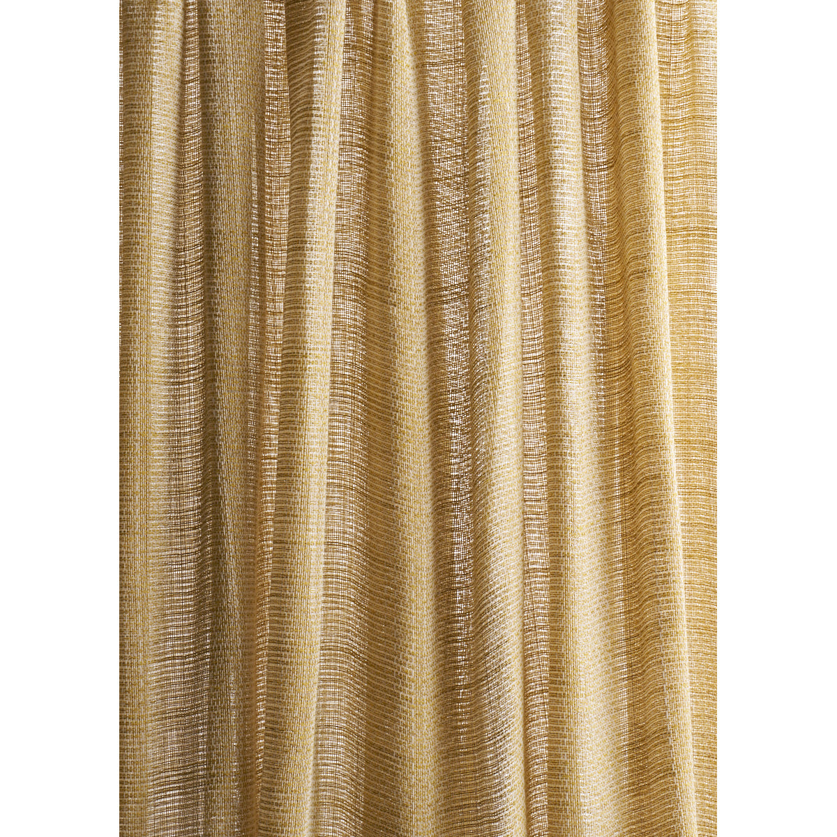 GREAT BASIN SHEER MAIZE