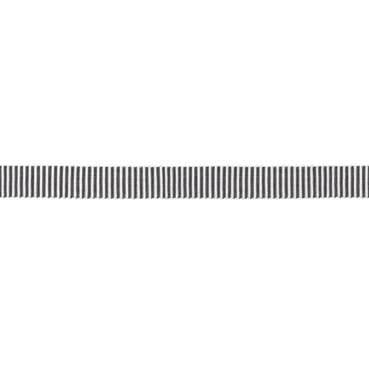 Schumacher KNOX TAPE NARROW GRAPHITE Trim | Atlanta Fabrics