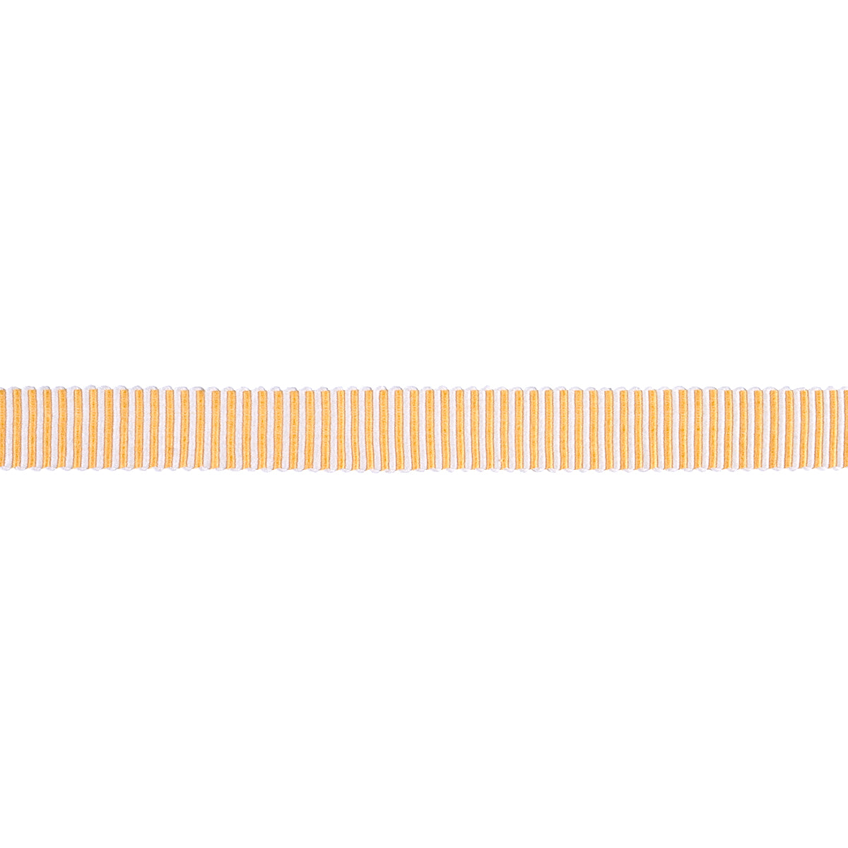 Schumacher KNOX TAPE NARROW GOLD Trim | Atlanta Fabrics