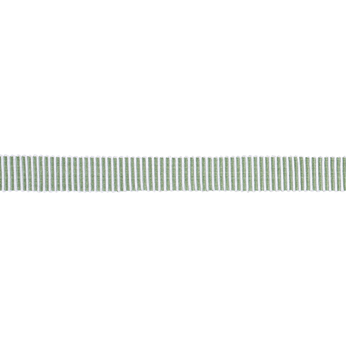 Schumacher KNOX TAPE NARROW GREEN Trim | Atlanta Fabrics