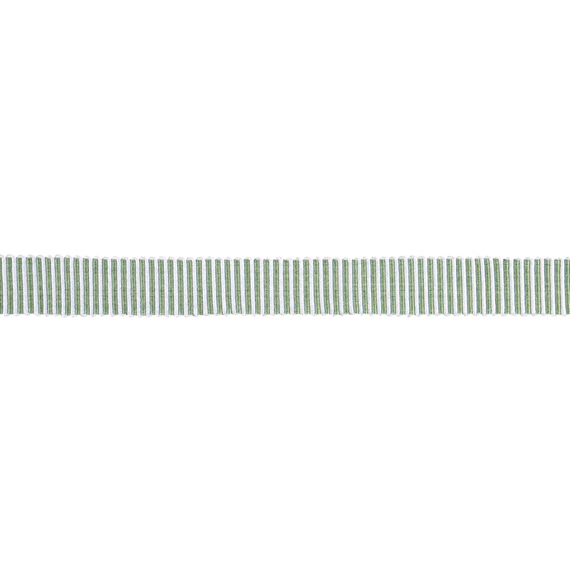 Schumacher KNOX TAPE NARROW GREEN Trim | Atlanta Fabrics