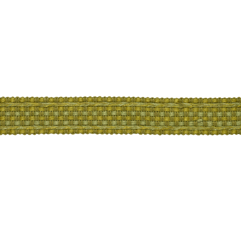 Schumacher COUNTRY BRAID GRASS Trim | Atlanta Fabrics