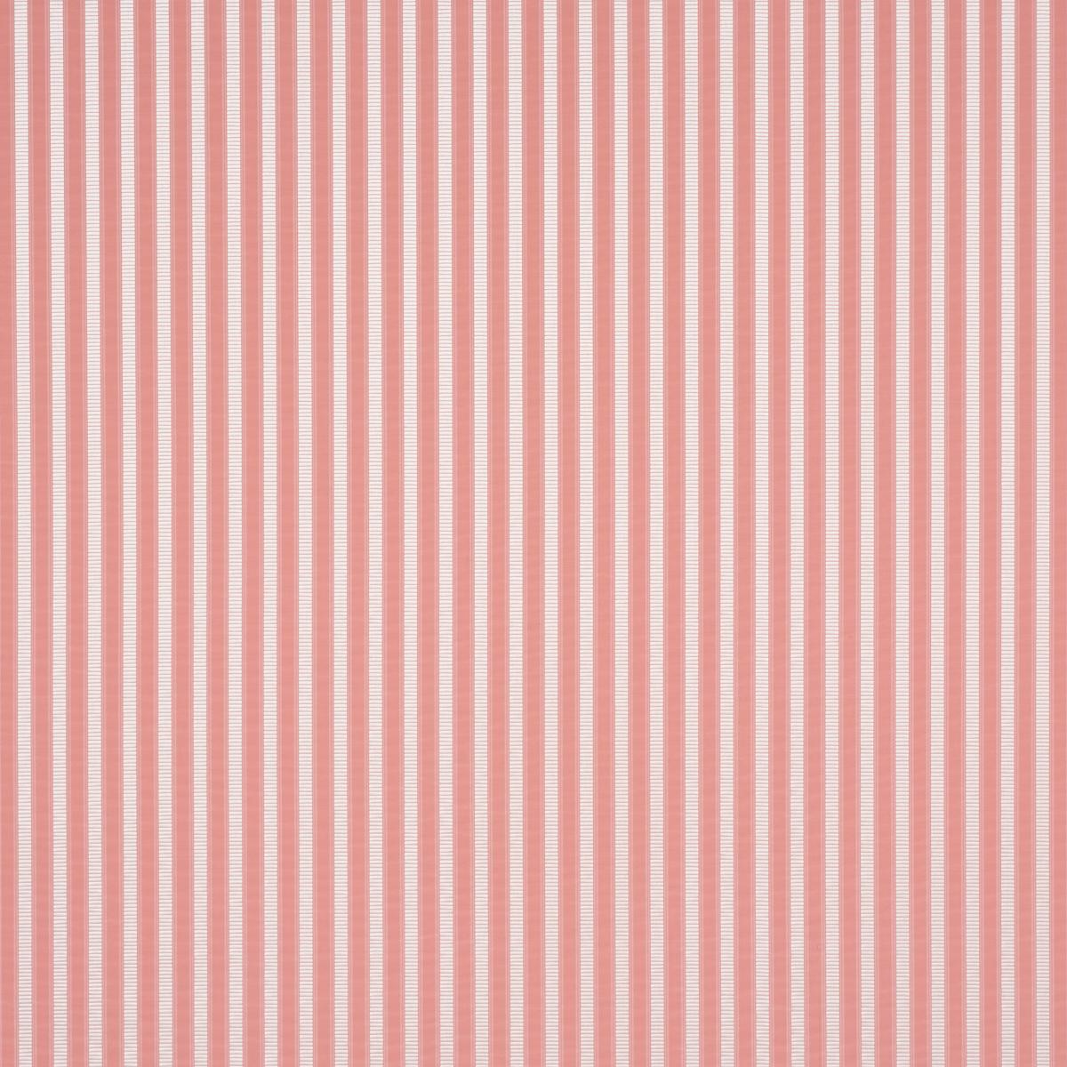 LINCOLN SMALL STRIPE PINK