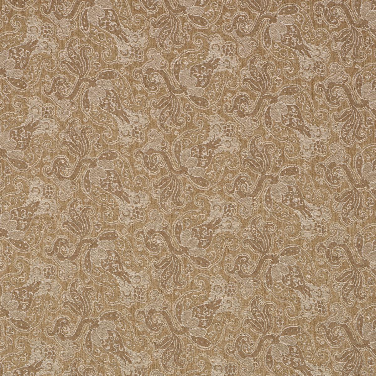 TULIPANO CARAMEL