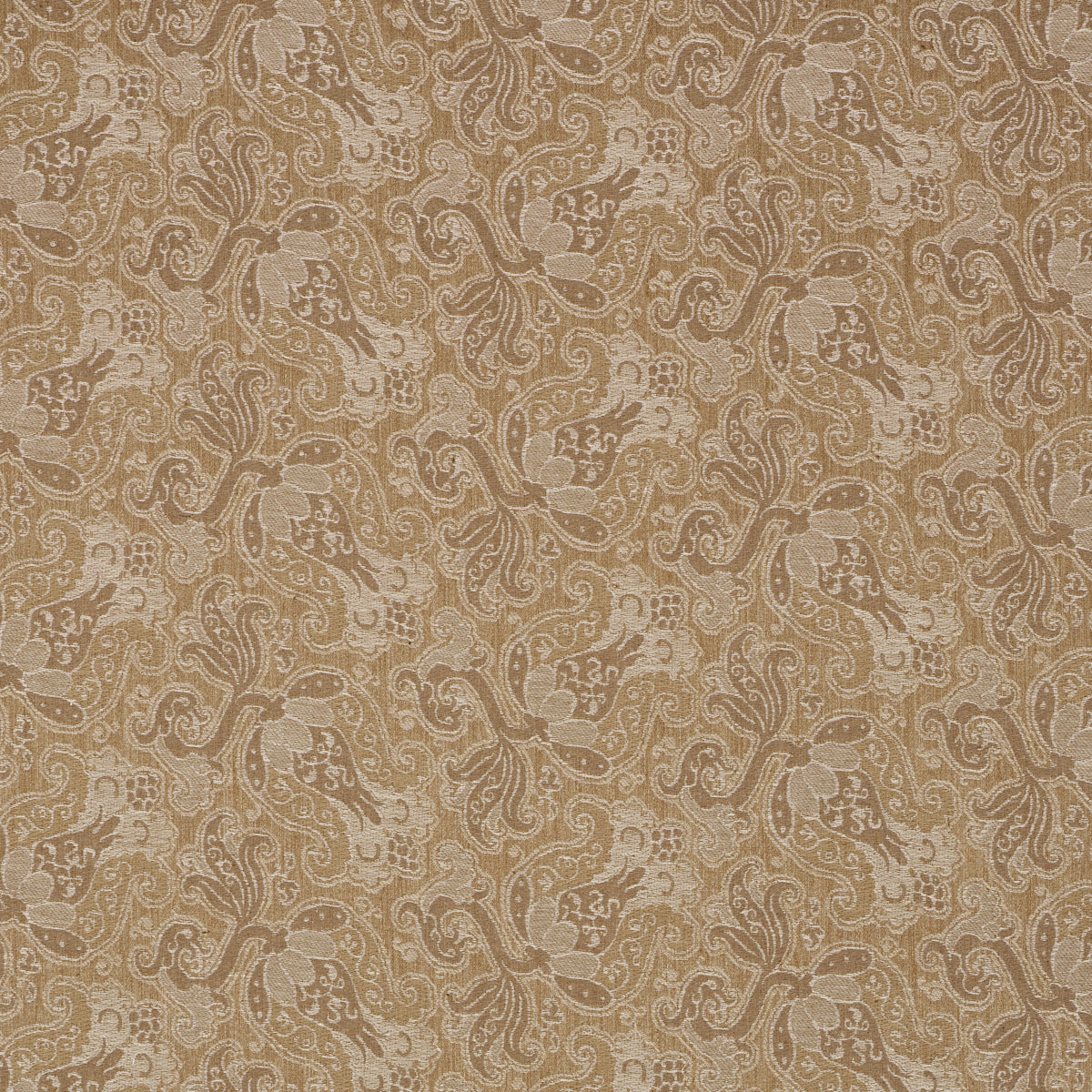 TULIPANO CARAMEL