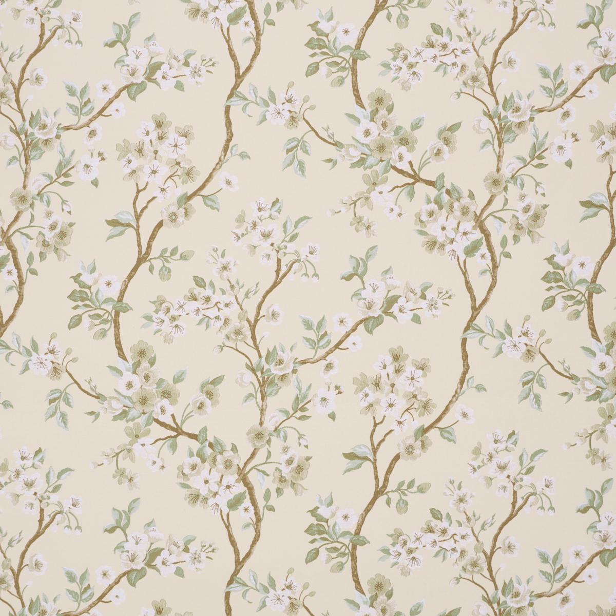 CHERRY BLOSSOM CITRON
