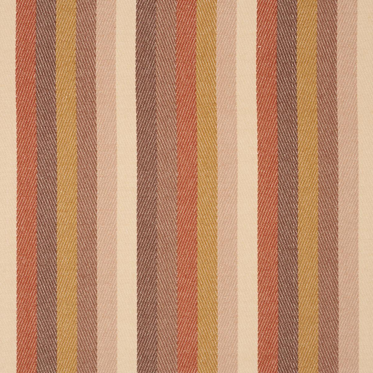 DANCING STRIPE CEDAR