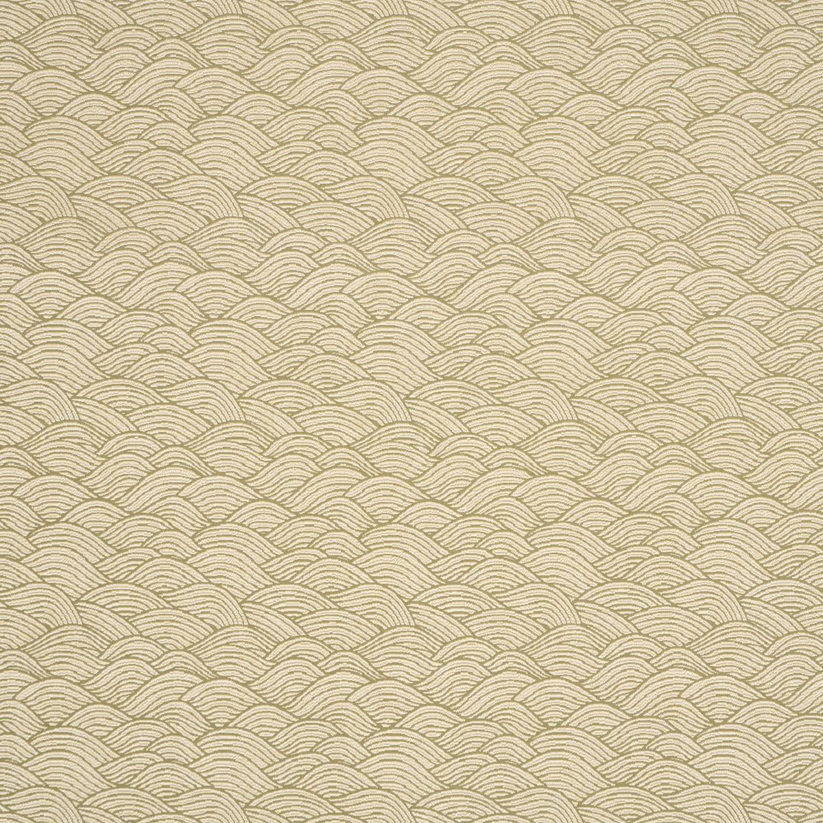 SYMPHONY SCALLOP OLIVE