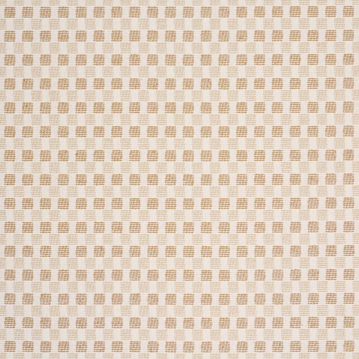 Schumacher ELARA PERFORMANCE STRAW Fabric | Atlanta Fabrics