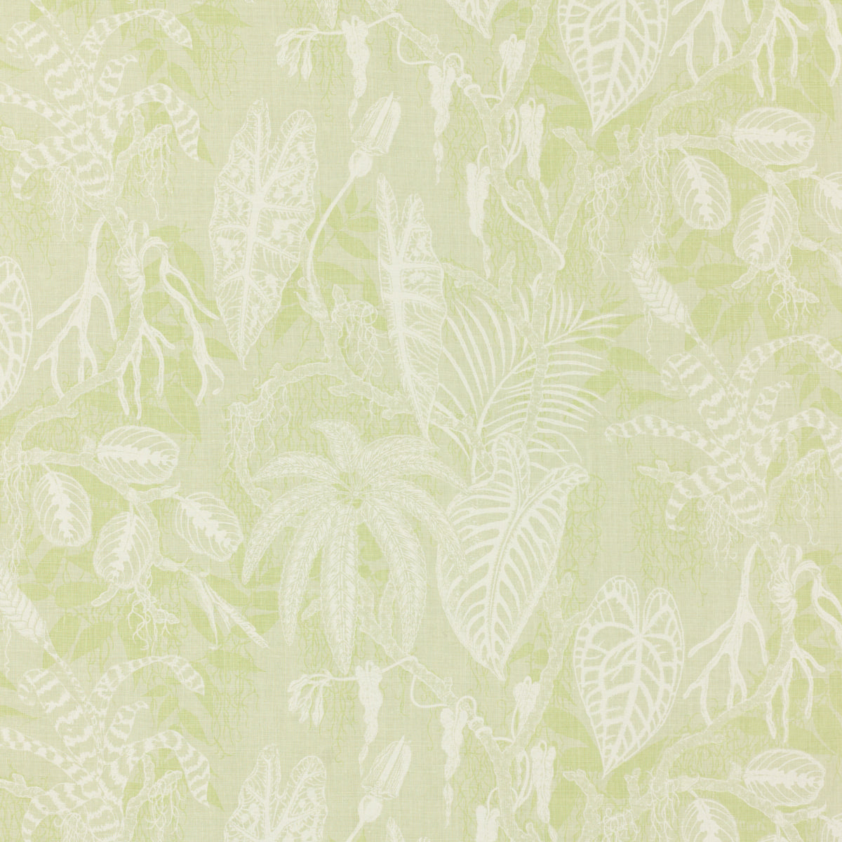 Schumacher FLORESTA THYME Fabric | Atlanta Fabrics
