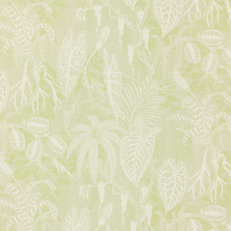Schumacher FLORESTA THYME Fabric | Atlanta Fabrics