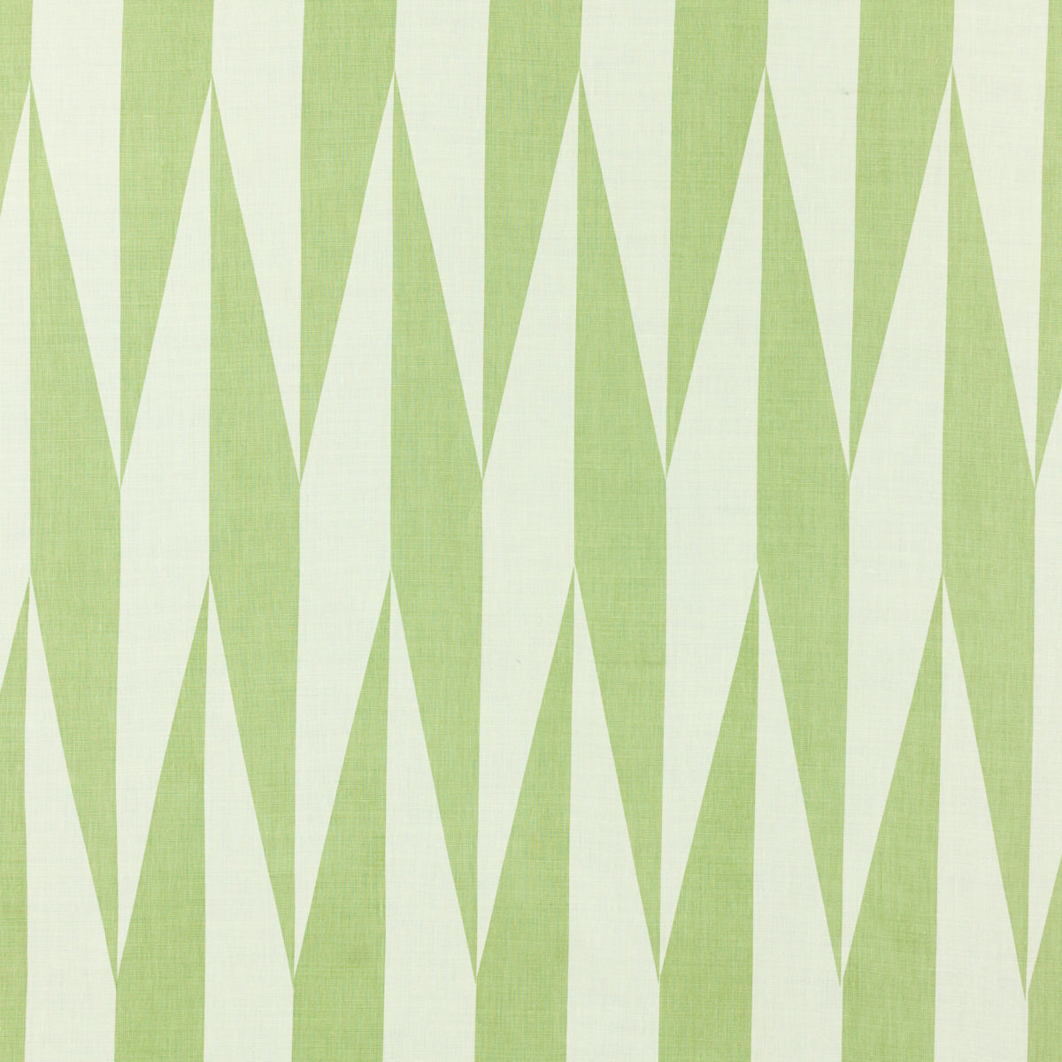 Schumacher JAKO GECKO Fabric | Atlanta Fabrics