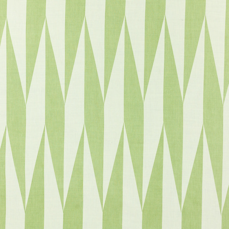 Schumacher JAKO GECKO Fabric | Atlanta Fabrics