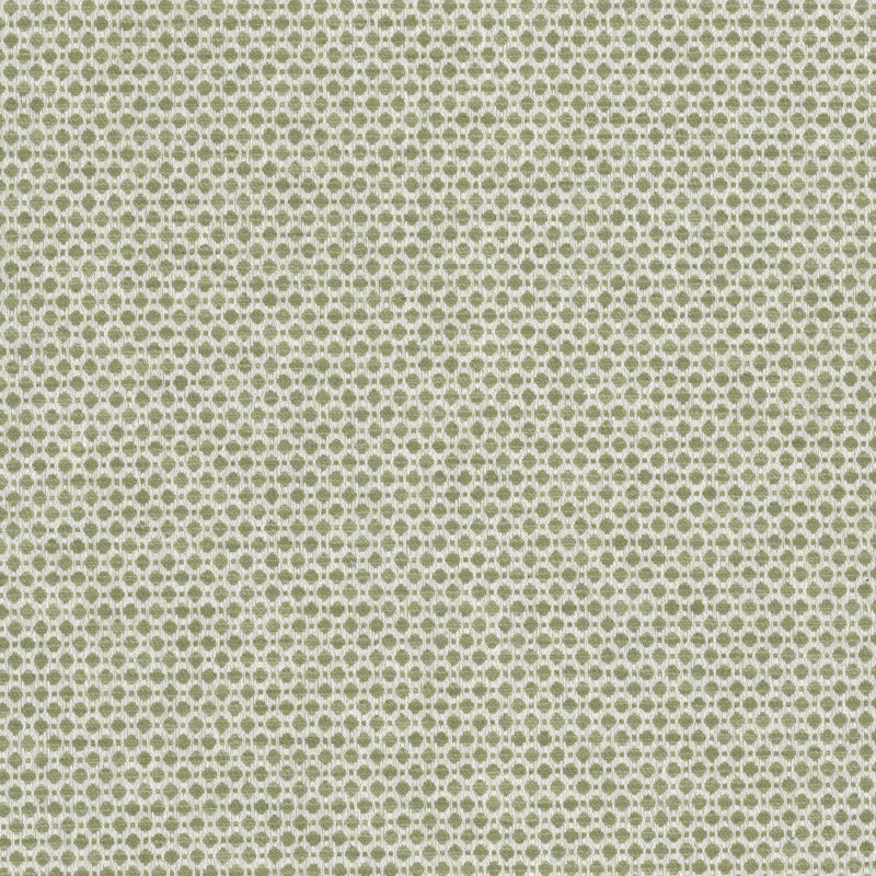 STOUT ABLOOM 2 APPLE Fabric | Atlanta Fabrics