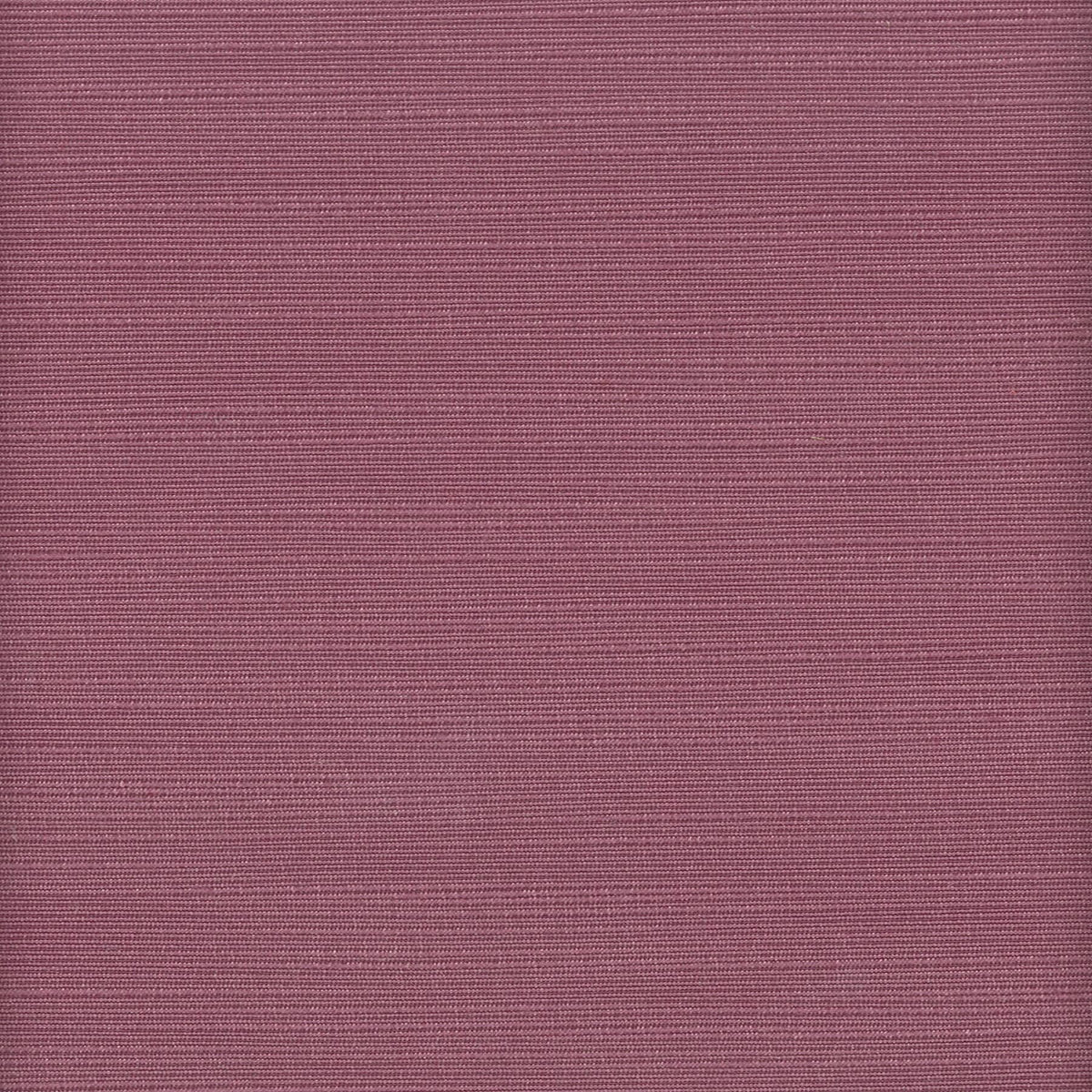 ADMIRE 19 PURPLE