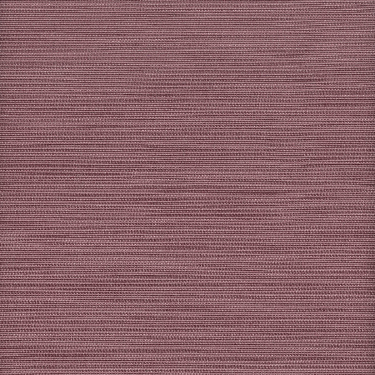 ADMIRE 31 MULBERRY